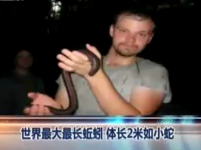 世界最大最长蚯蚓  体长2米如小蛇