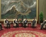 张德江会见爱尔兰总统