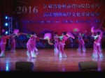 江苏徐州贾汪区马庄农民乐团赴台开展文化展演活动取得圆满成功