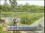 台湾农业园落户重庆荣昌带动周边农业发展