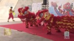 第二届两岸城市龙舟文化交流赛在台北举行