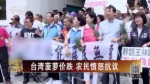 台湾菠萝价跌 农民愤怒抗议